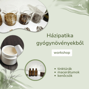 Házipatika gyógynövényekből workshop - zártkörű, max. 10 fő