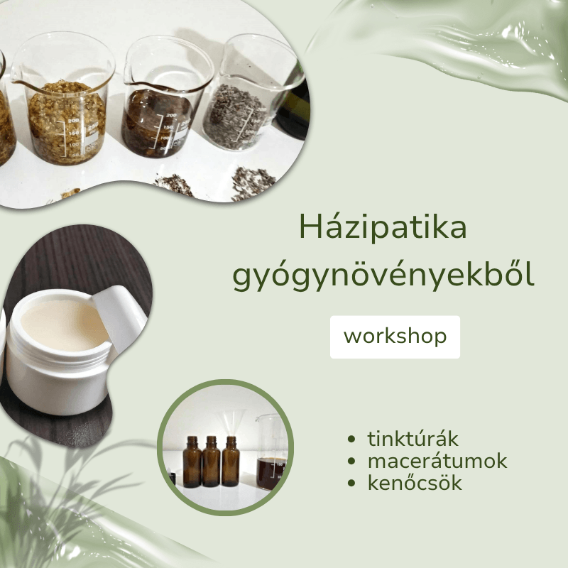Házipatika gyógynövényekből workshop - zártkörű, max. 10 fő