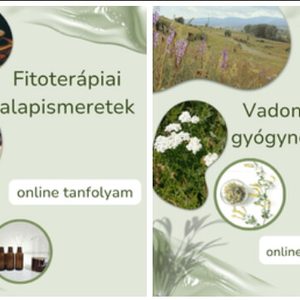 Csomagajánlat: 2 online tanfolyam